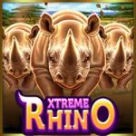 Slot Populer Extreme Rhino